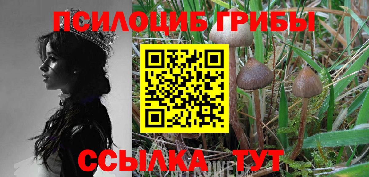 Галлюциногенные грибы Psilocybe  Вход с VPN  Донской 